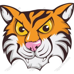 Fierce Tiger