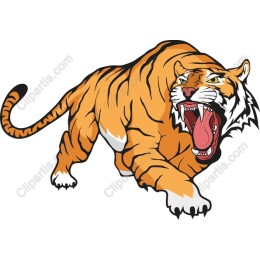 Roaring Tiger