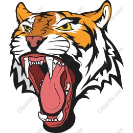 Roaring Tiger Head