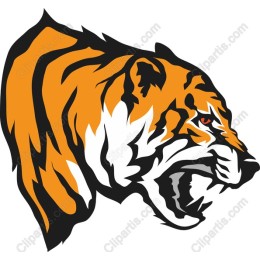 Fierce Tiger Head