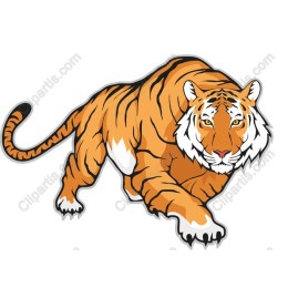 Prowling Tiger