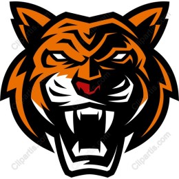Fierce Tiger Head