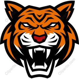 Fierce Tiger Head