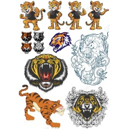 Tiger Collection