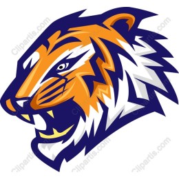 Fierce Tiger