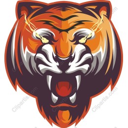 Fierce Tiger Head