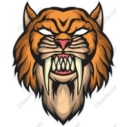 Fierce Tiger Head