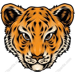 Majestic Tiger Head