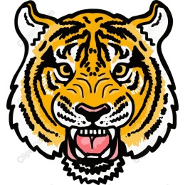 Fierce Tiger Head