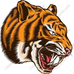 Fierce Tiger Head