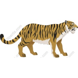 Majestic Tiger