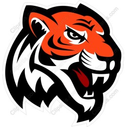 Fierce Tiger Head