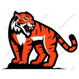 Fierce Tiger