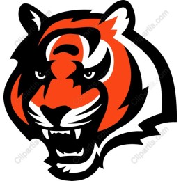 Fierce Tiger Head