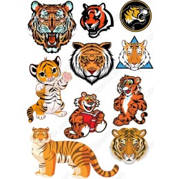 Tiger Bundle