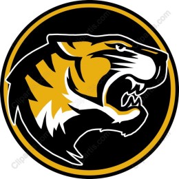 Fierce Tiger Head