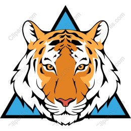 Fierce Tiger Head