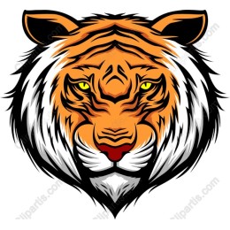 Fierce Tiger Head