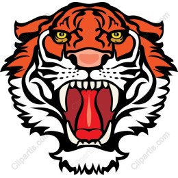 Fierce Roaring Tiger