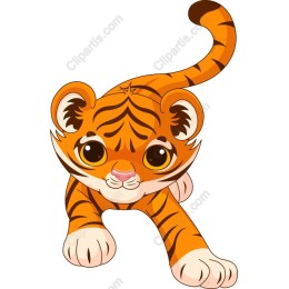 Playful Tiger Cub