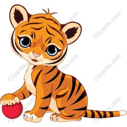 Playful Tiger Cub