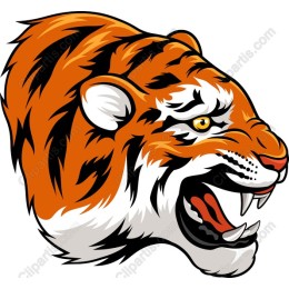 Roaring Tiger Head