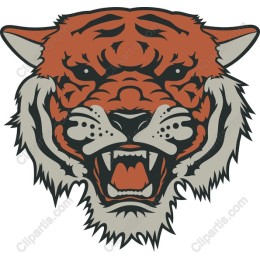Fierce Tiger Head