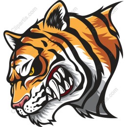 Fierce Tiger Head