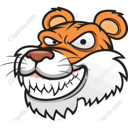 Fierce Tiger Head