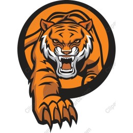 Fierce Tiger