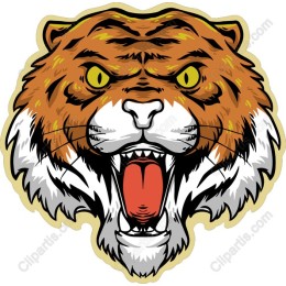 Fierce Roaring Tiger Head