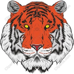 Tiger Head