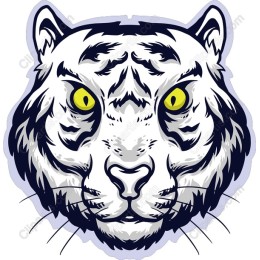 Majestic White Tiger Head