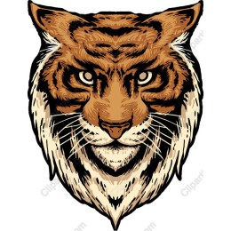 Majestic Tiger Head