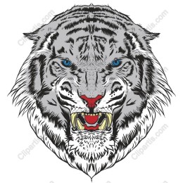 Fierce White Tiger Head
