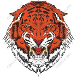 Fierce Tiger Head