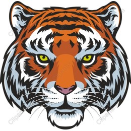 Wild Tiger Head