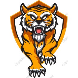 Fierce Tiger work