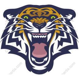 Fierce Tiger Face