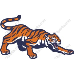 Fierce Tiger