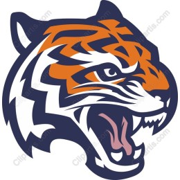 Fierce Roaring Tiger