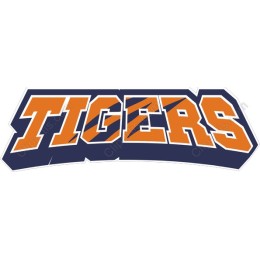 Tigers - Dynamic Sports