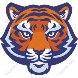  Tiger Head