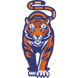 Fierce Tiger