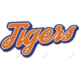 Vibrant Tigers