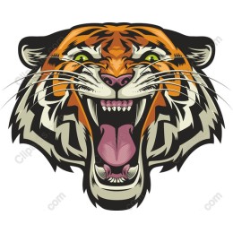 Fierce Tiger Head