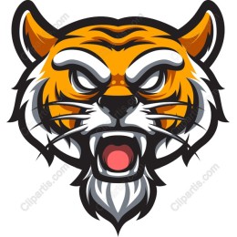 Fierce Tiger Head