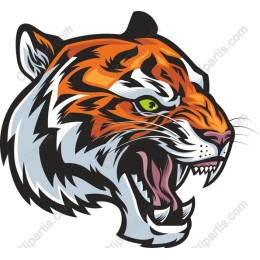 Fierce Tiger Head