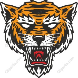 Fierce Tiger Head