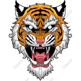 Majestic Tiger Head